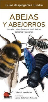 ABEJAS Y ABEJORROS - 9788418458576
